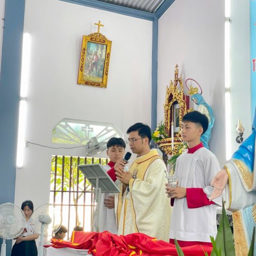 huynhtruong7